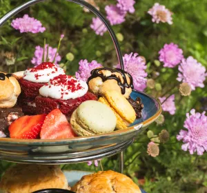 Sunday Afternoon Tea Offer