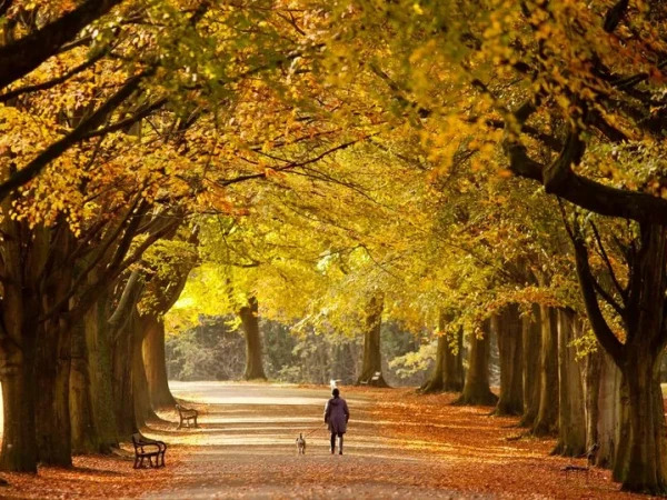 Wintry Walks Around Bristol