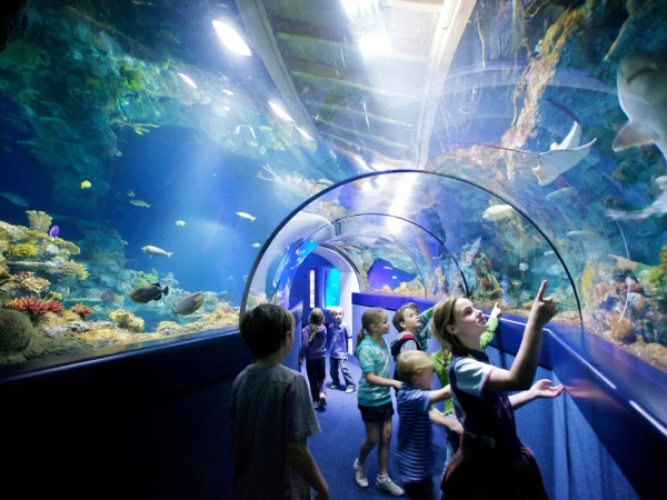 Bristol Aquarium