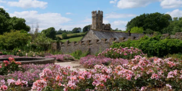 buckland_abbey_credit_national_trust_images_sarah_davis.jpg