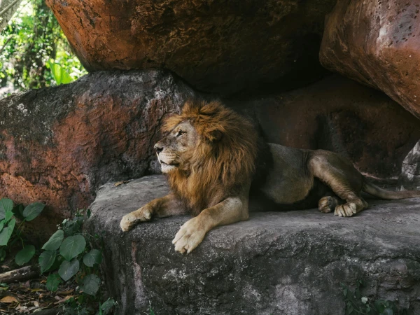 Dartmoor Zoo