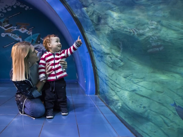 Things to do during Half Term 2025