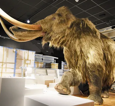 Discover the Best Museums in Plymouth