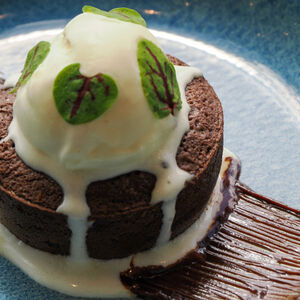 Chocolate fondant ice cream.jpg