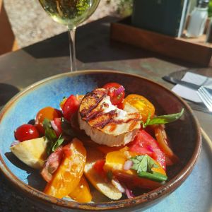 panzanella salad.jpeg