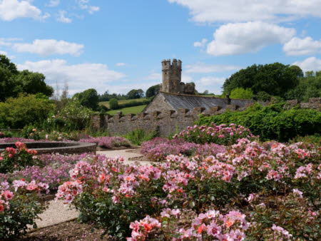 ©National Trust Images/Sarah Davis